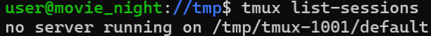 Terminal screenshot showing the command tmux list-sessions returning the message ‘no server running on /tmp/tmux-1001/default,’ indicating no active tmux sessions on that socket.