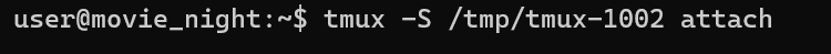 Terminal screenshot showing the command tmux -S /tmp/tmux-1002 attach, used to attach to a tmux session via a specific socket file.