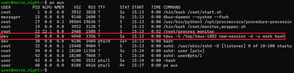 Terminal screenshot showing the output of ps aux. A highlighted entry reveals user ‘dev’ running a tmux session using the command tmux -S /tmp/tmux-1002 new-session -d -s work bash. Other processes from root and user accounts are also listed.